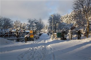 Vinter på Biskopsängen